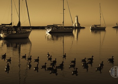 Cobourg East Pier